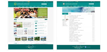 奈福網(wǎng)絡(luò) 為上海院校打造高端網(wǎng)站設(shè)計(jì)與建設(shè)方案