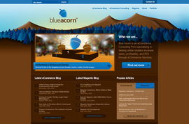 自然風(fēng)韻 融合生態(tài)美學(xué)的網(wǎng)頁(yè)設(shè)計(jì)案例展示