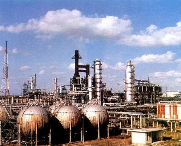 建國后最大間諜案:廣州機場截獲2只老鼠,體內藏絕密情報?